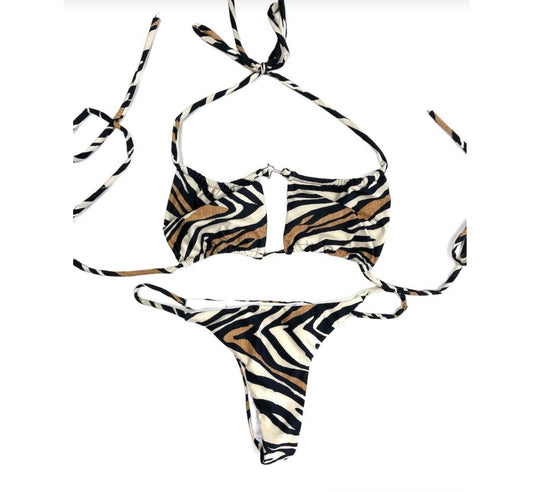 Bikini Safari Zebra